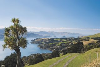 Dunedin landskap på Nya Zeeland