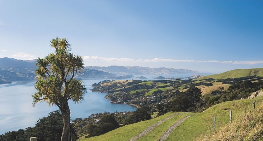 Dunedin landskap på Nya Zeeland