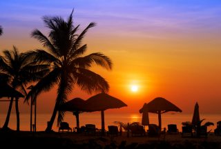 Vacker solnedgång bakom palmerna i Vietnam