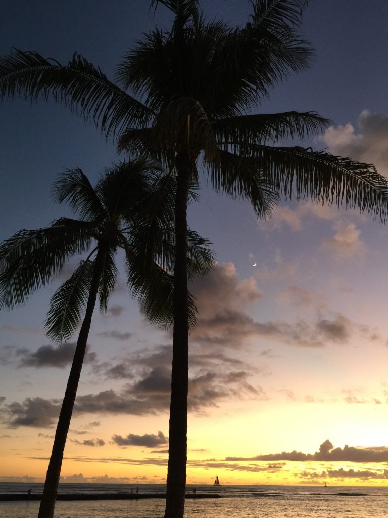 Solnedgång bakom på palmerna på Hawaii