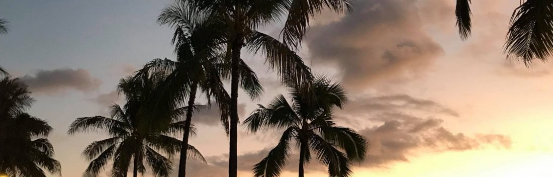 Solnedgång och siluett av palmer på Hawaii
