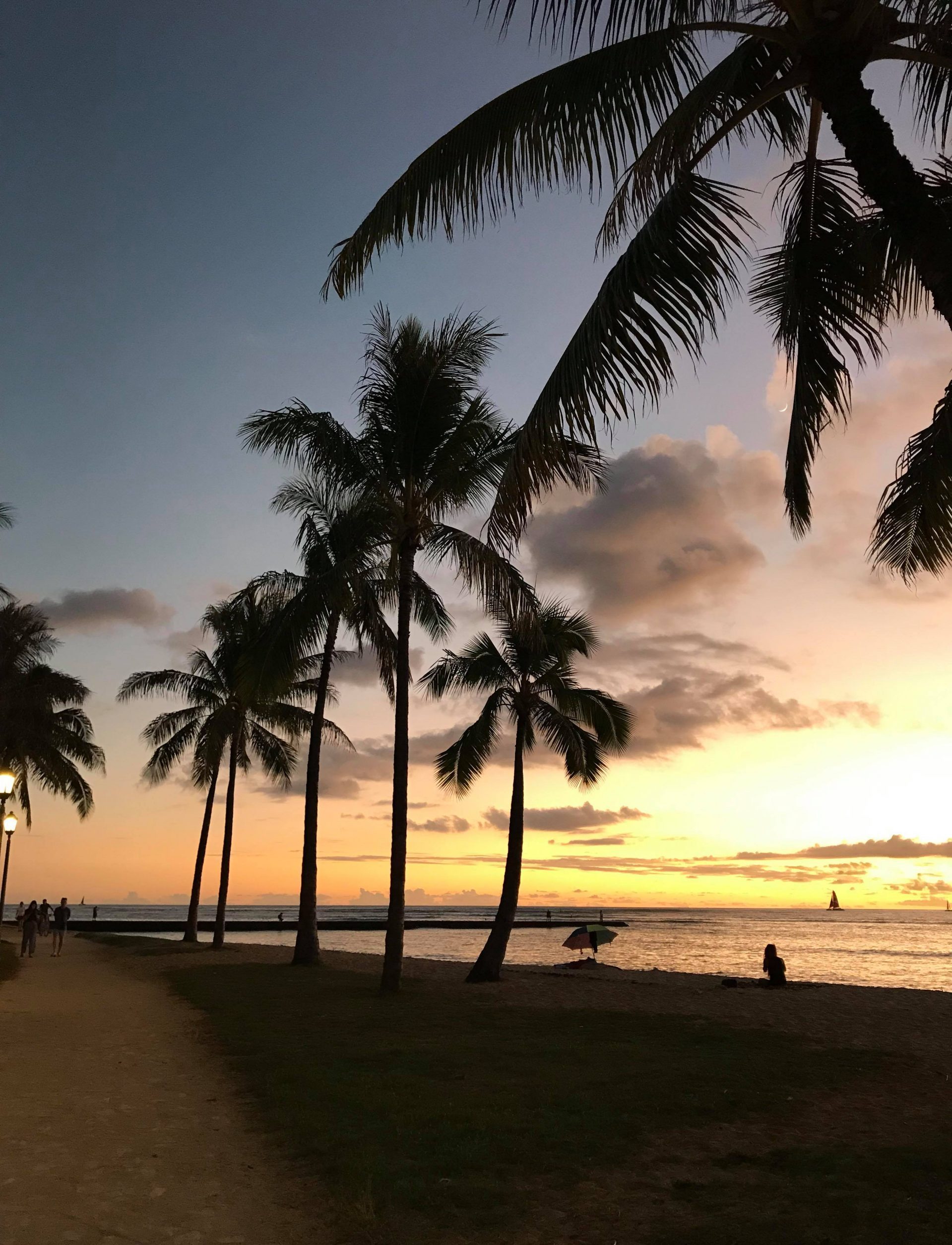 Solnedgång och siluett av palmer på Hawaii