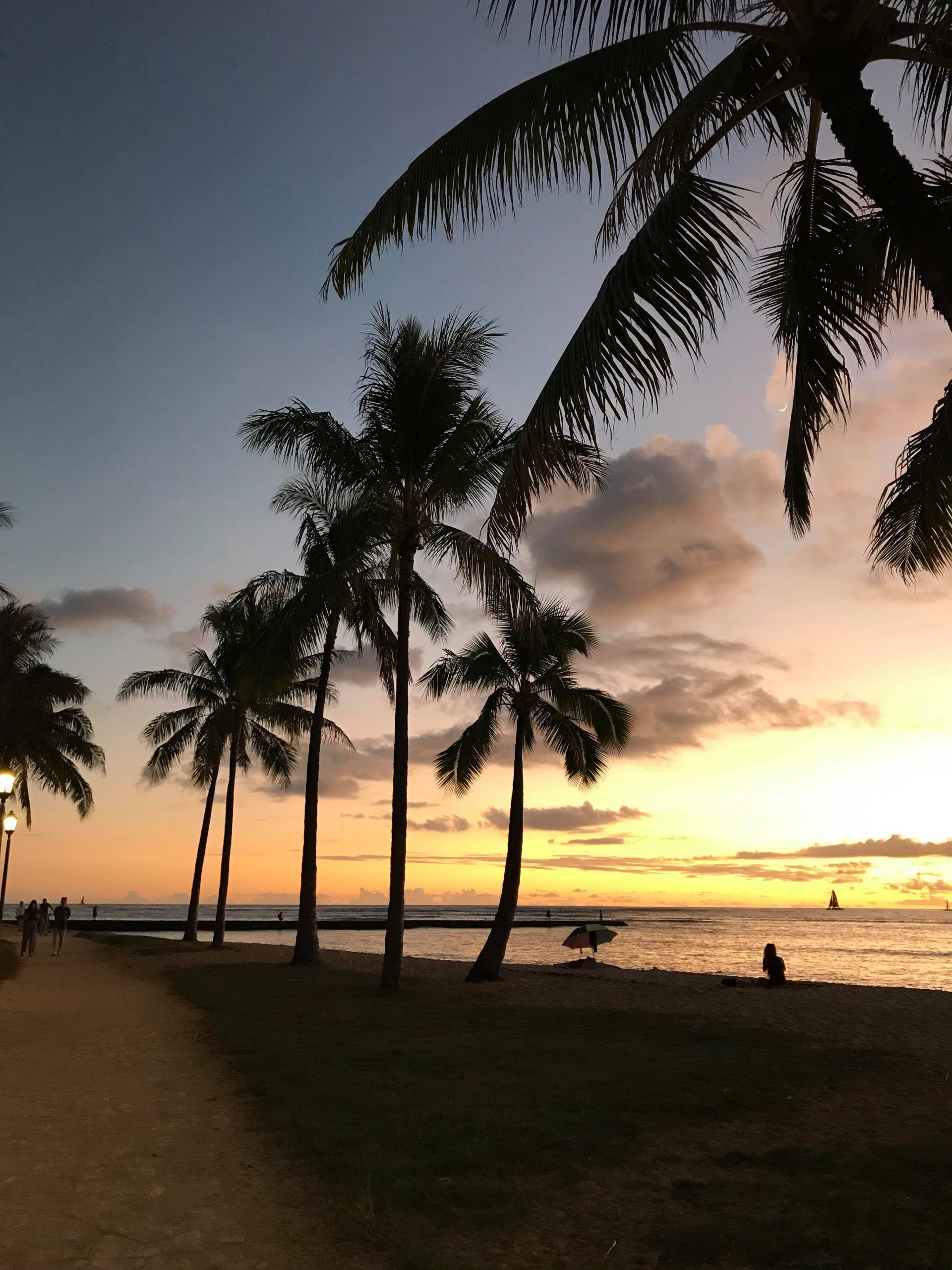 Solnedgång och siluett av palmer på Hawaii