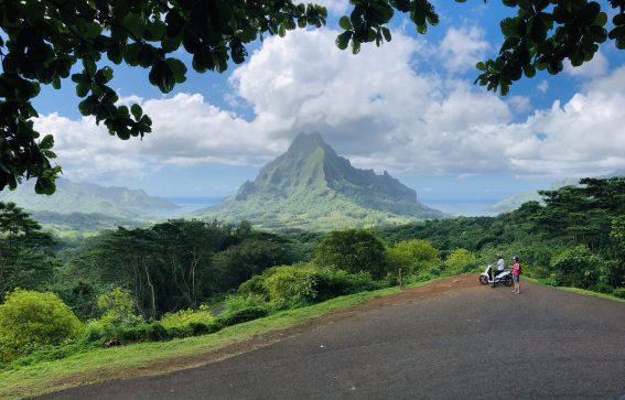 landsväg genom den hawaianska djungeln