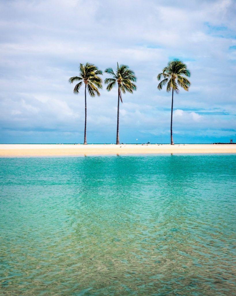 Waikiki Beach vacker strand med palmer