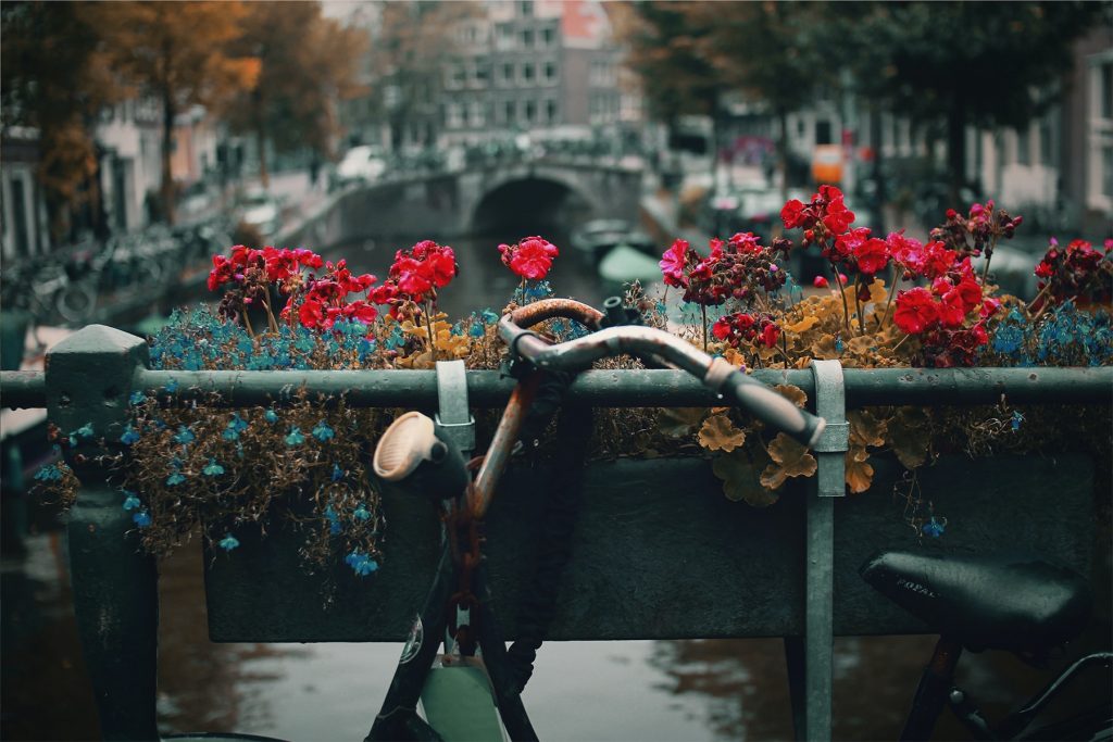 Amsterdam cykel kanal