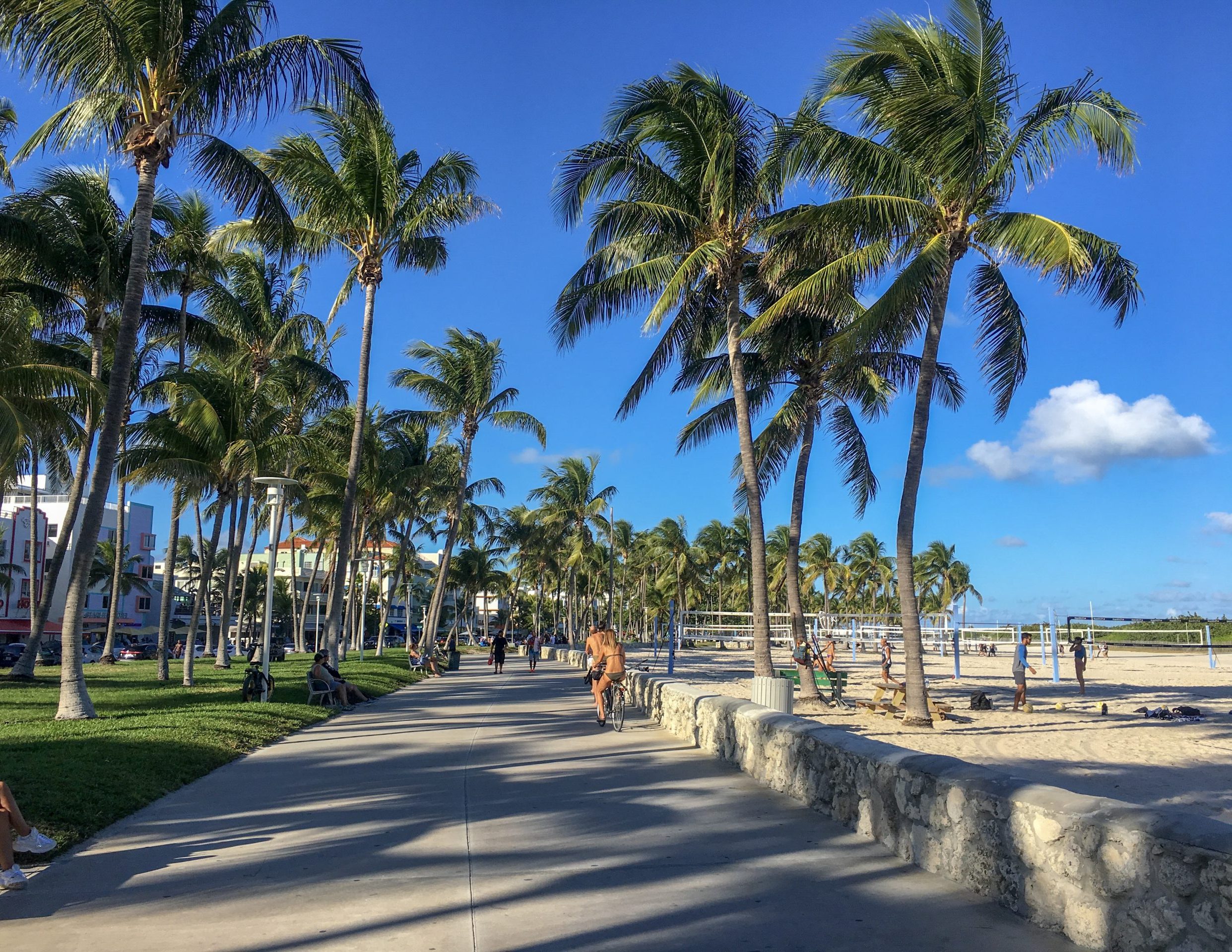 Miami beach walk-strandpromenaden kantad av palmer