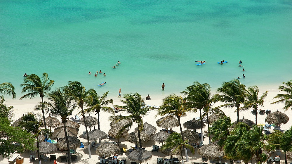 Palmer vid stranden på Aruba