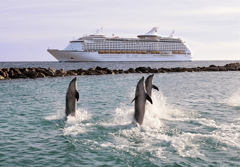 Kryssningsfartyg och delfiner utanför Curacao