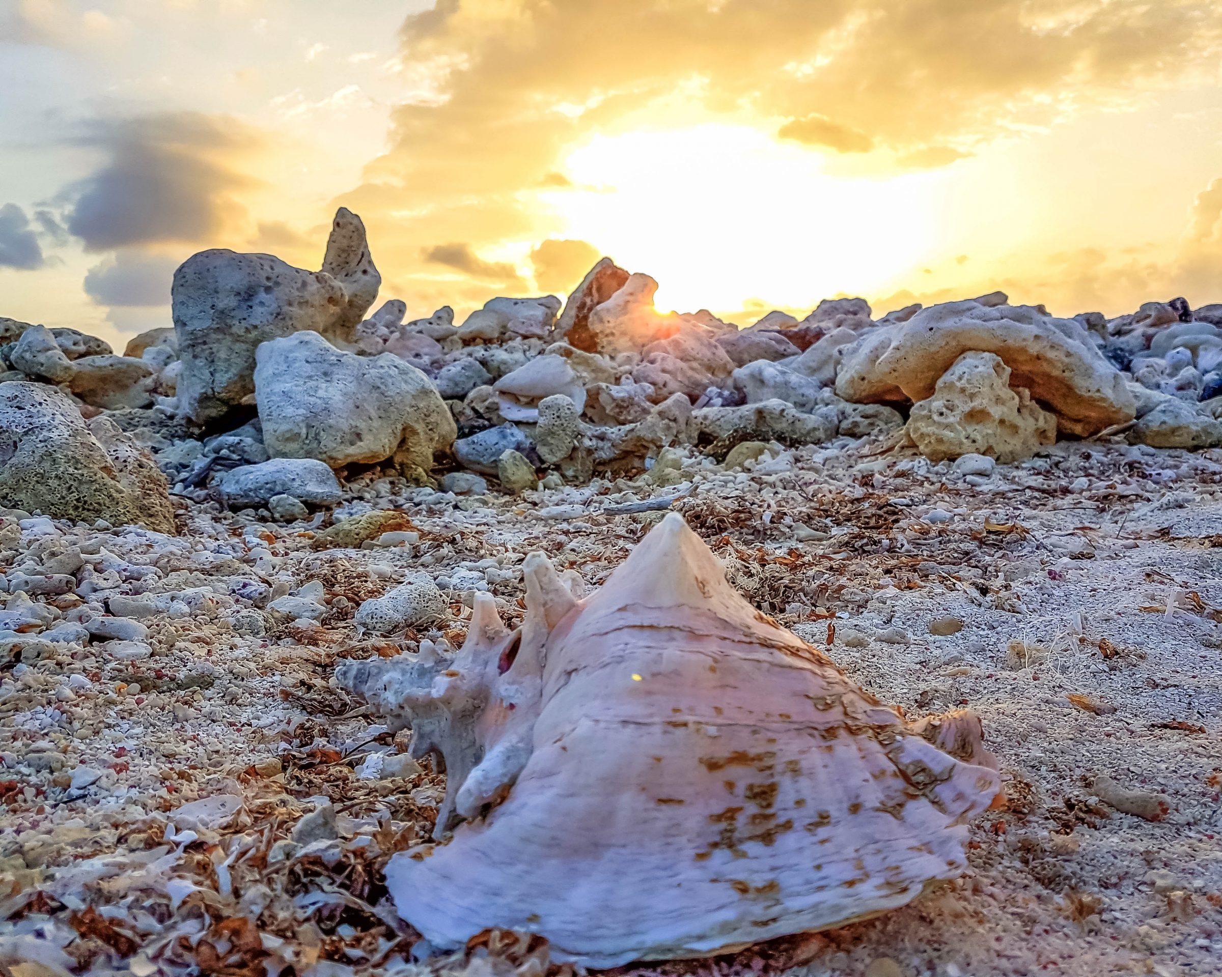 mustique saint vincent and the grenadines