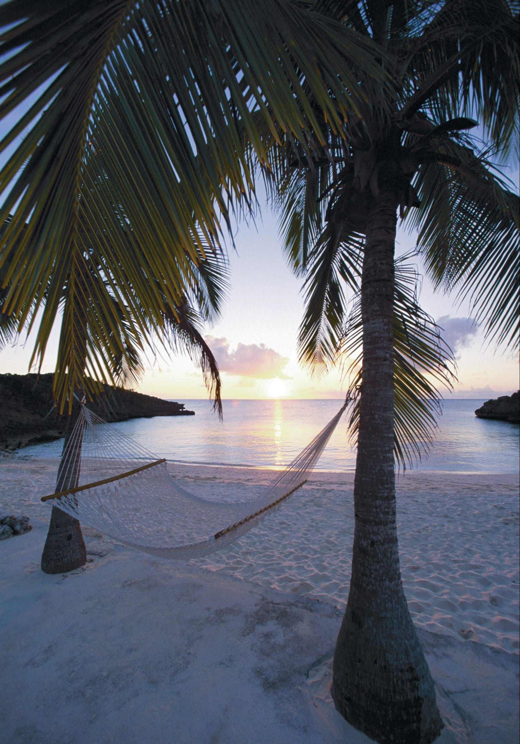 En hängmatta mellan två palmer i solnedgång på Bahamas
