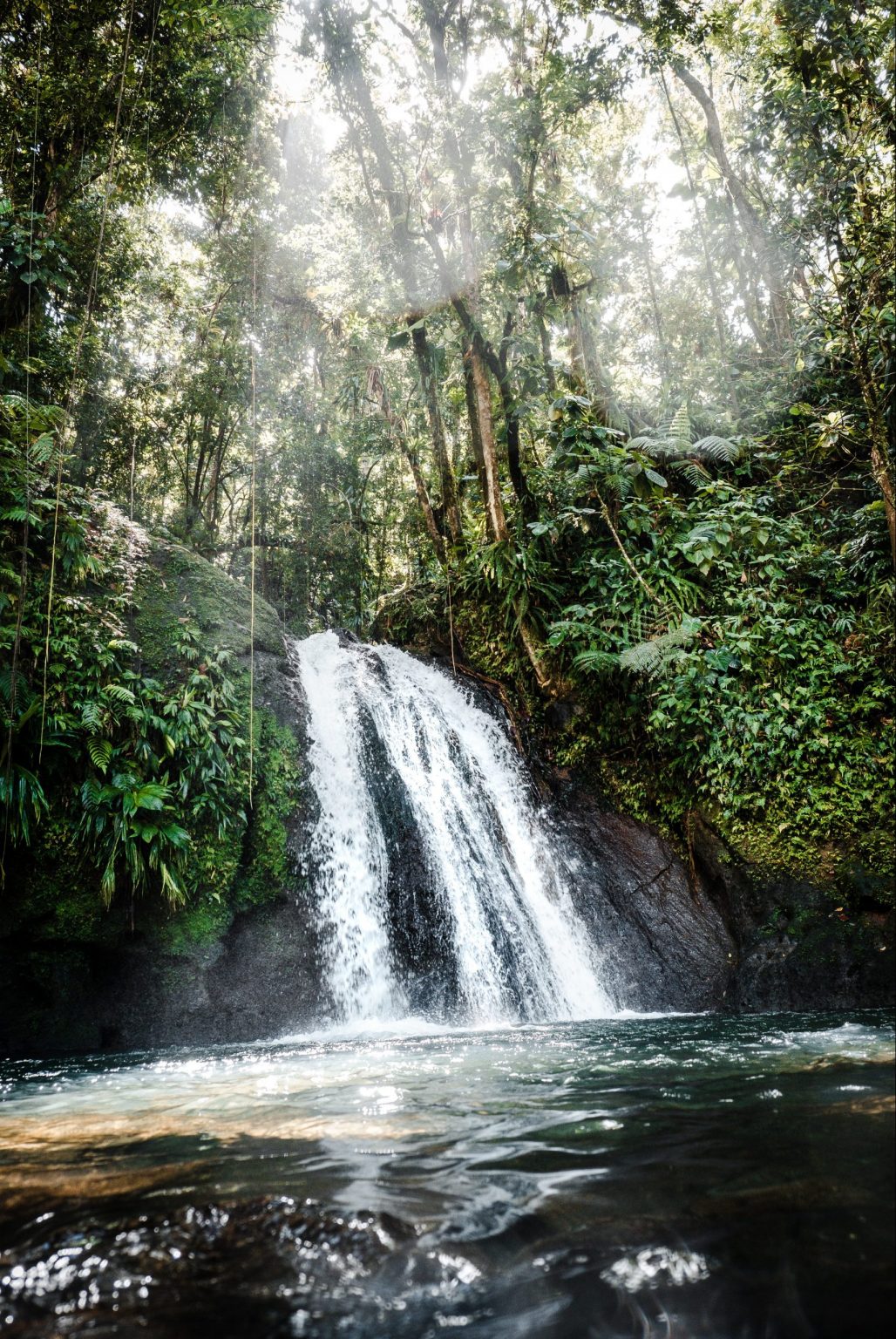 Vattenfall och natur i Guadeloupe