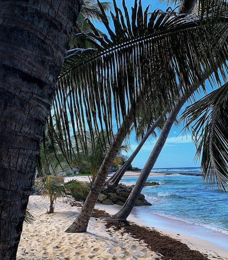 Hastings Beach i Barbados