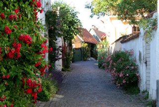 visby gränd