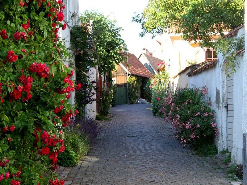 visby gränd