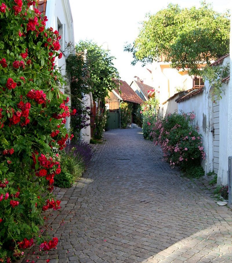 visby gränd
