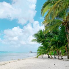 Cozumel beach