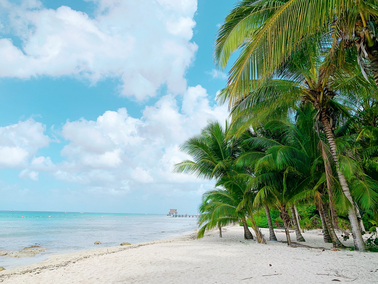 Cozumel beach