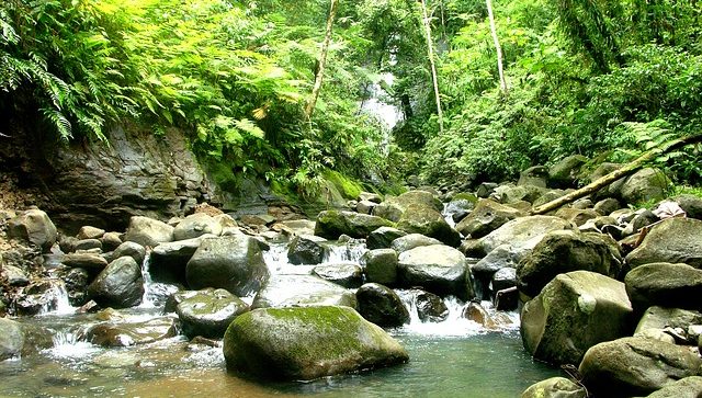 Puntaneras-Costa-Rica