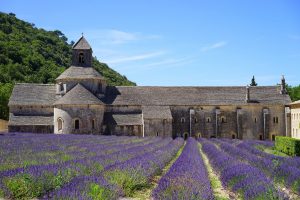 Abbaye de Senanque Avignon