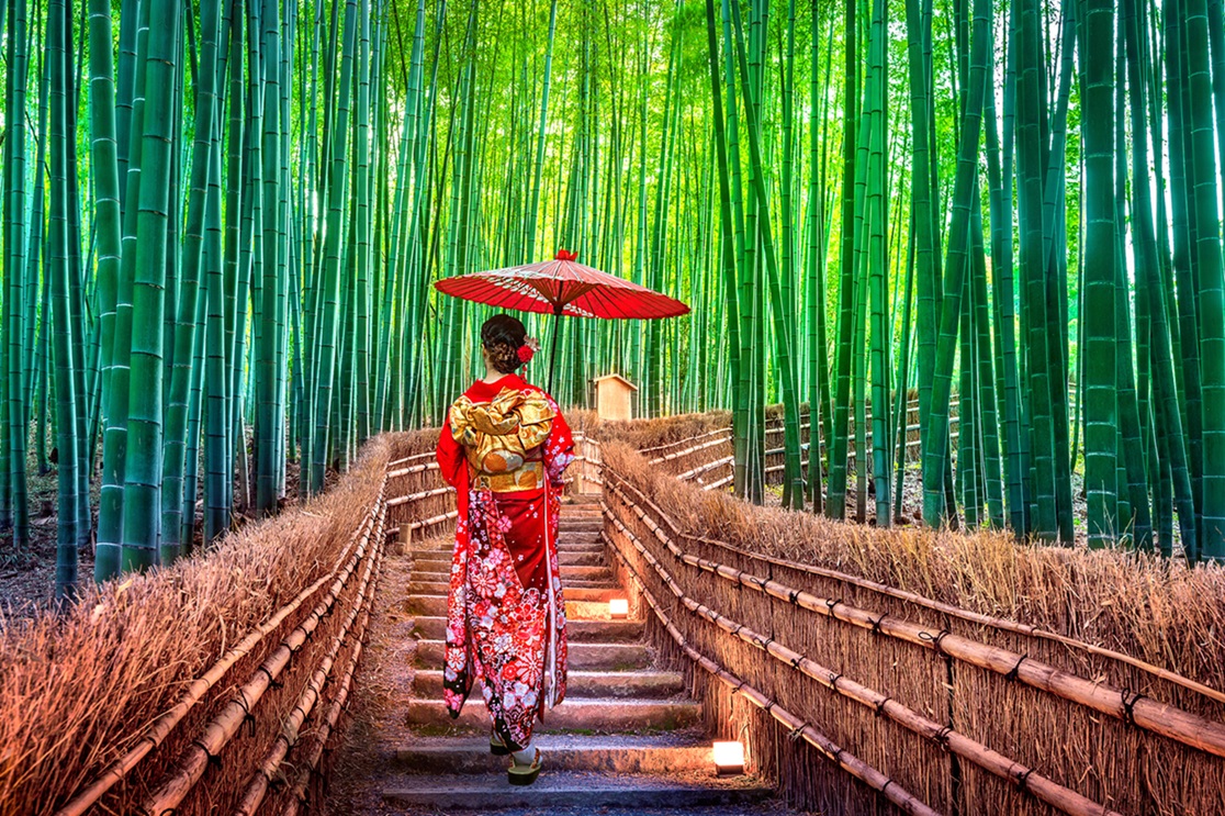 Bamboo Forest Kyoto Japan