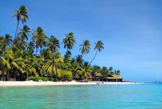 Fiji palmer och strand